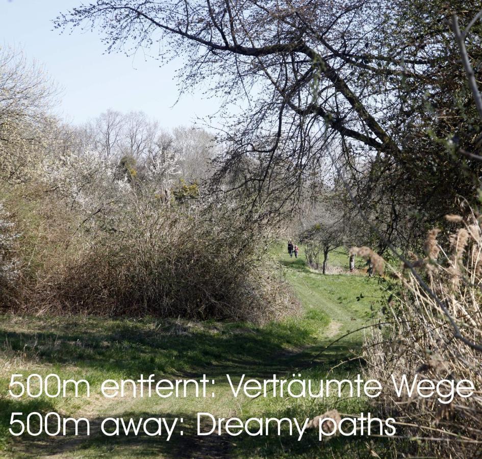 Passivhaus 750M Vom Bodensee -- 2X E-Bike Inklusive -- Neubau 2019 Am Ortsrand 외닝겐 외부 사진