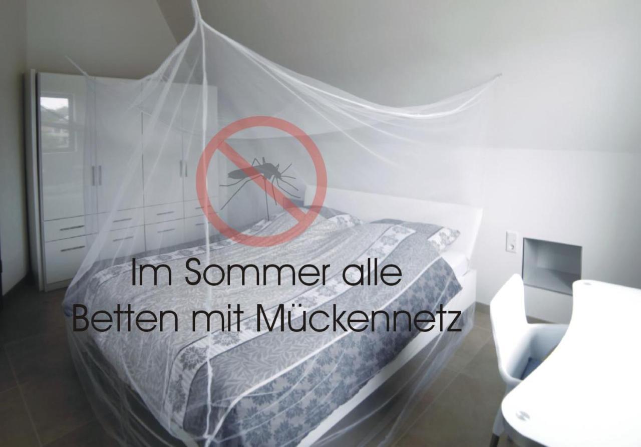 Passivhaus 750M Vom Bodensee -- 2X E-Bike Inklusive -- Neubau 2019 Am Ortsrand 외닝겐 외부 사진